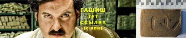молекула духа Вязьма