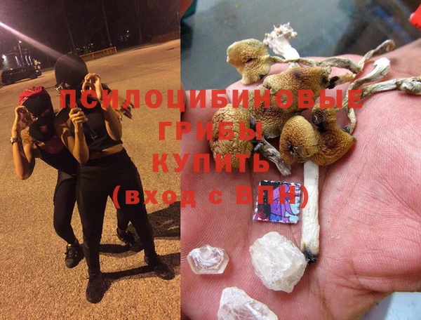 молекула духа Вязьма