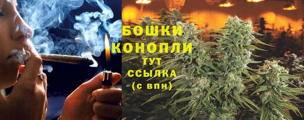 молекула духа Вязьма