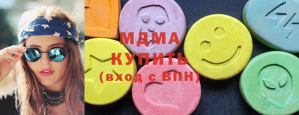 шишки Горняк