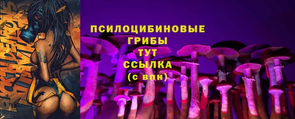 дурь Волоколамск