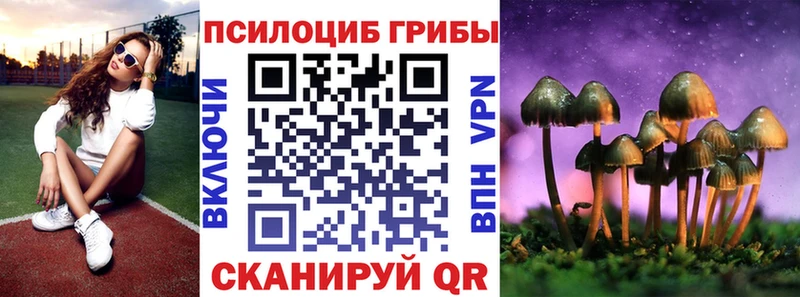 Псилоцибиновые грибы Magic Shrooms  omg рабочий сайт  Копейск  наркошоп 